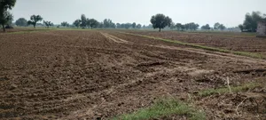 FWR6+JJ5, Gahankar, Rajasthan 301021, India preview 2