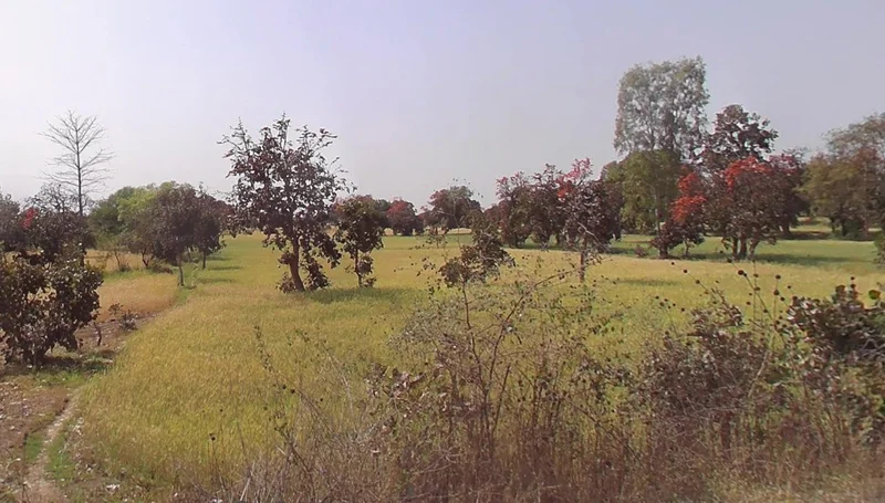 35XG+94, Pahadi Kheda, Madhya Pradesh, India preview 3