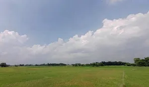 Bhawanipur, Bihar 847115, India preview 3