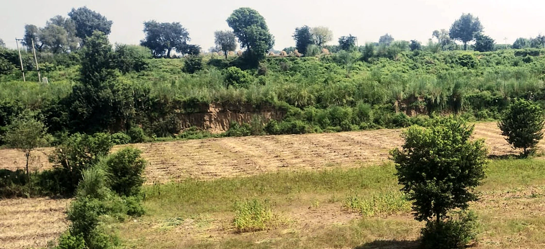Ghanauli, Punjab 140113, India