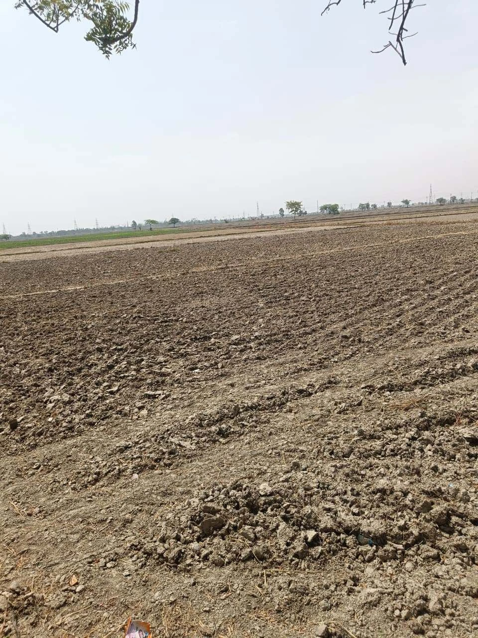 Aou, Rajasthan, India