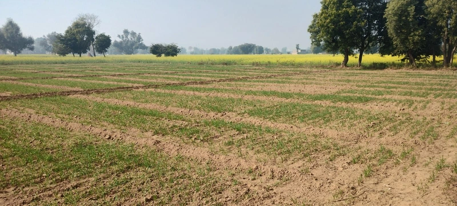 Shahpura, Rajasthan 303103, India