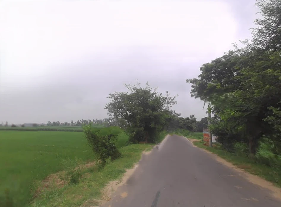 Luhari, Uttar Pradesh 245205, India