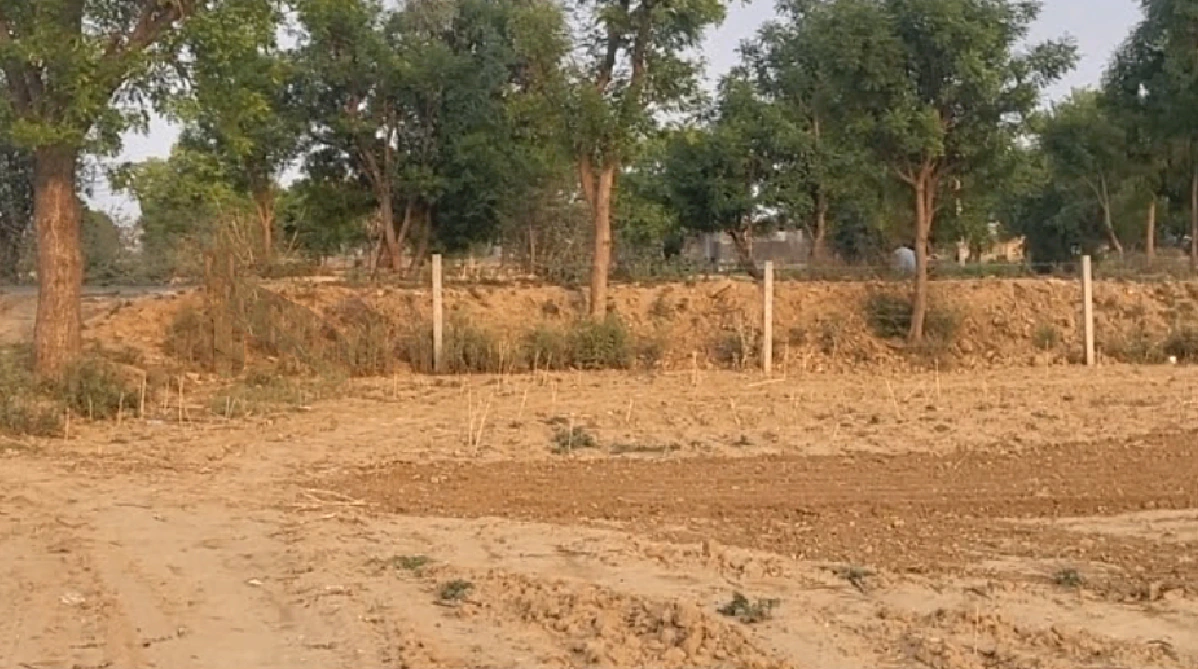 JF75+R8 Nimbola Biswa, Rajasthan, India