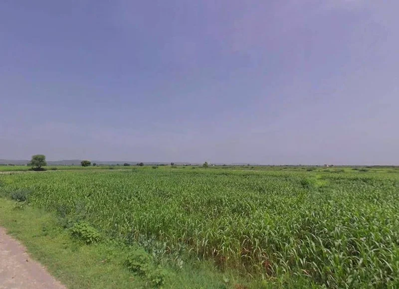 Pahari, Rajasthan, India preview 3