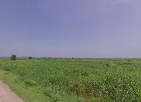 Pahari, Rajasthan, India preview 3