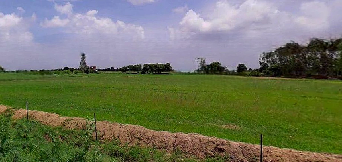 Barsana, Uttar Pradesh 281405, India