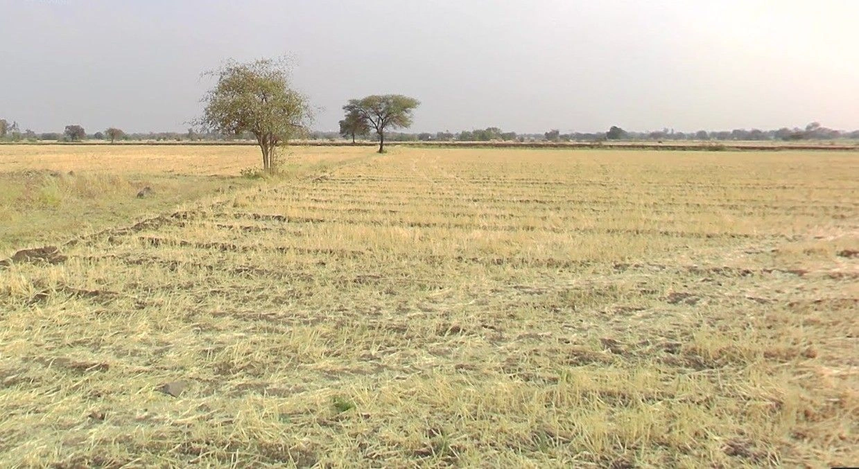 Susner, Madhya Pradesh 465447, India preview 2