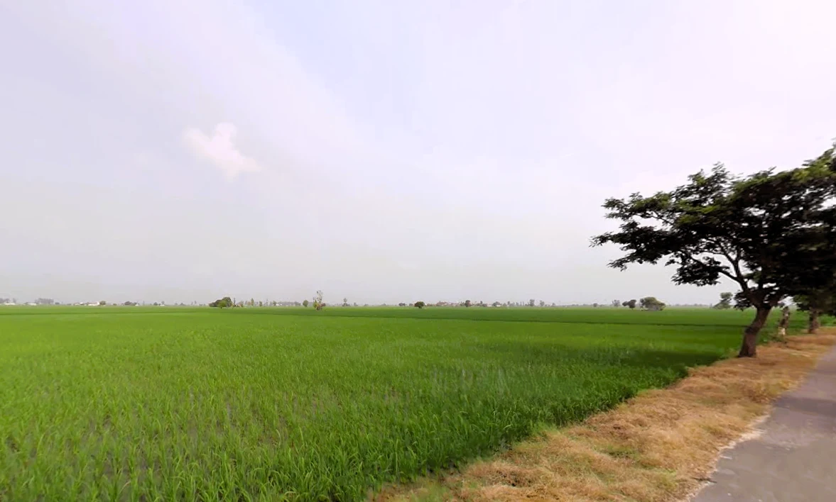 Nissing, Haryana 132024, India preview 3