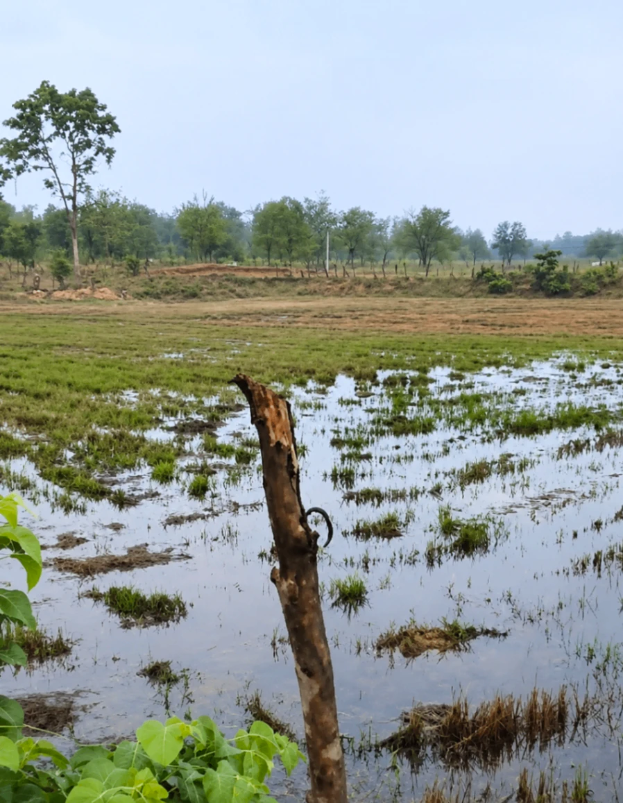 Puranpur, Pilibhit, Uttar Pradesh 262122, India