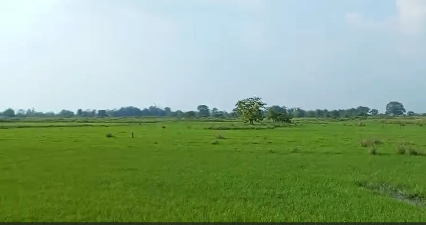 3R7F+489, Ujjain, Ramwasa, Madhya Pradesh, India