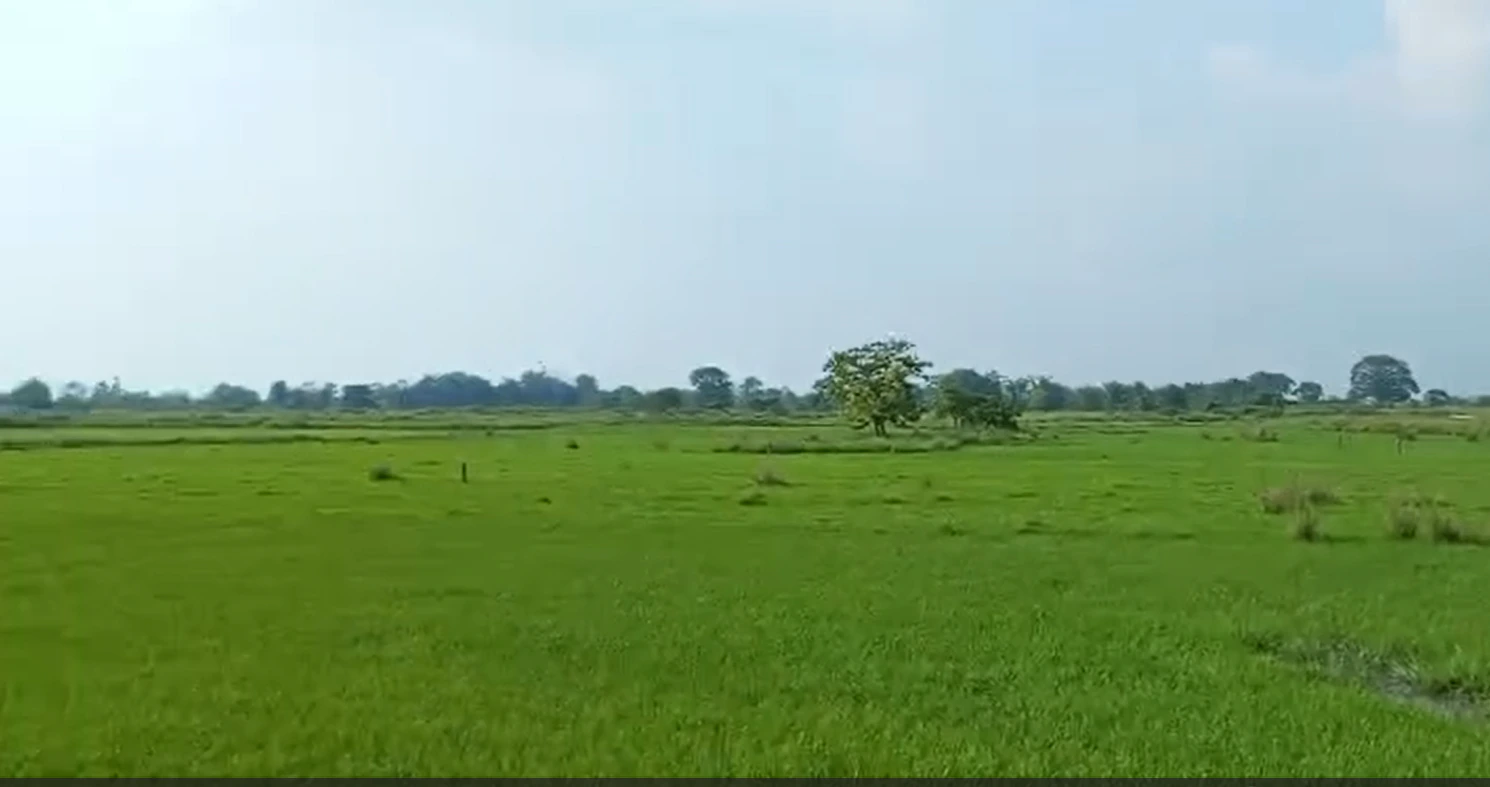 3R7F+489, Ujjain, Ramwasa, Madhya Pradesh, India