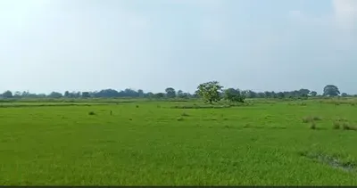3R7F+489, Ujjain, Ramwasa, Madhya Pradesh, India preview 3