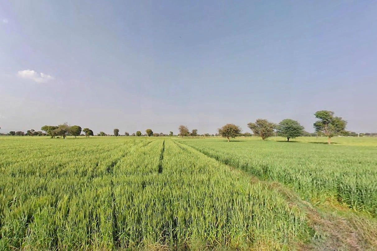 Gujuki, Rajasthan 301030, India