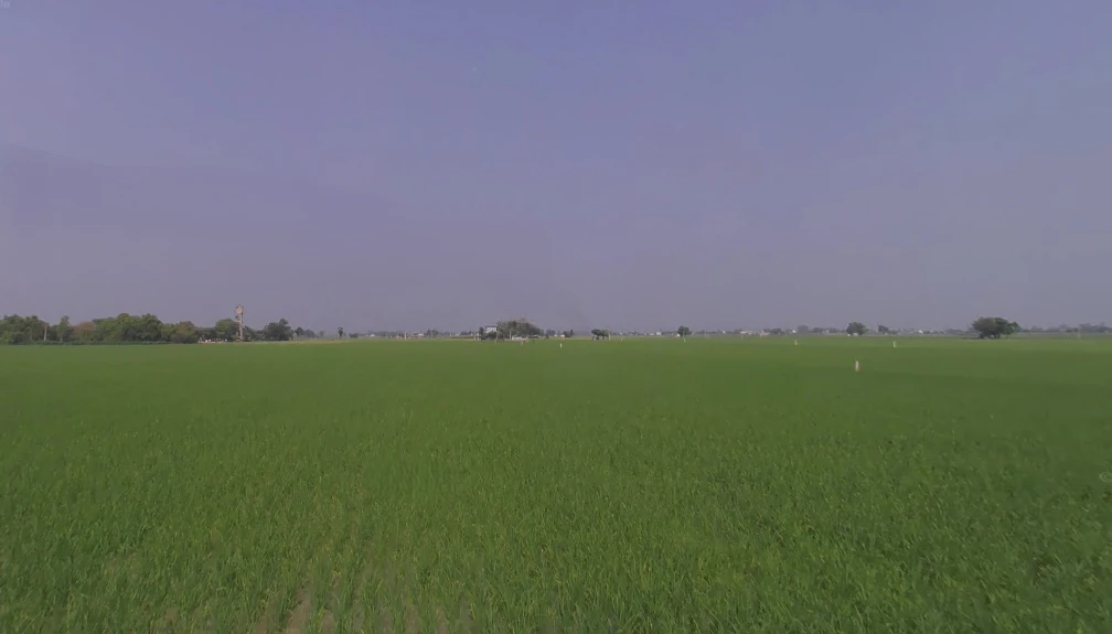 Raqba, Punjab 141104, India