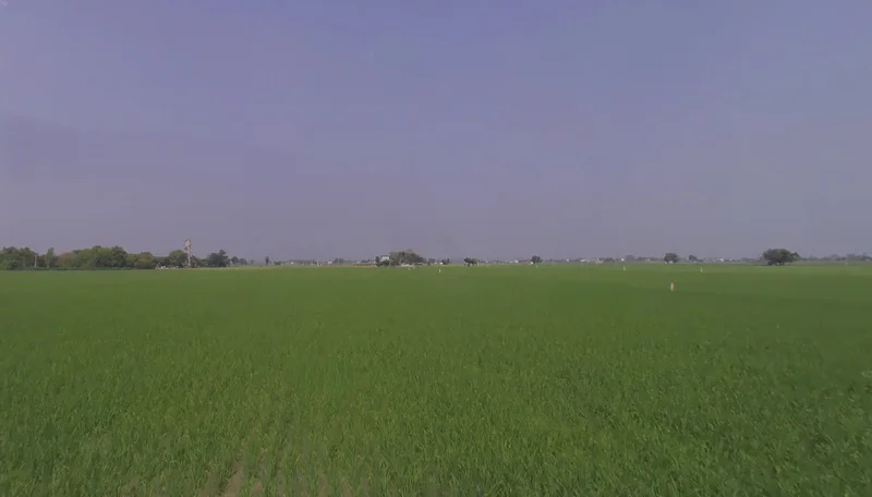 Raqba, Punjab 141104, India preview 2