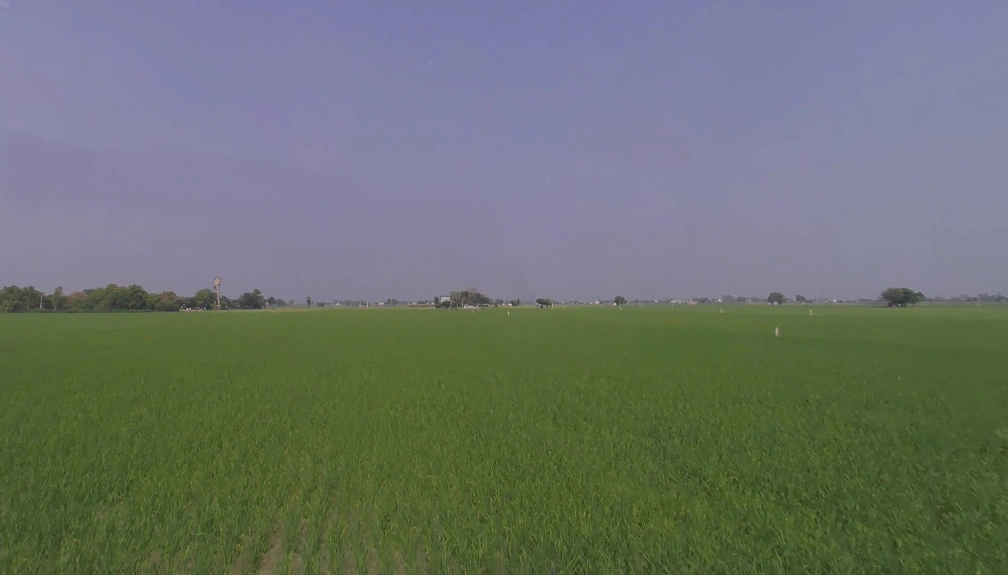 Raqba, Punjab 141104, India