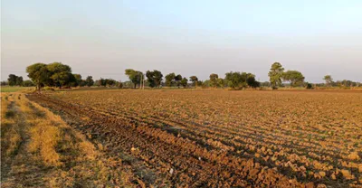 GHUMKA, Rajnandgaon, Chhattisgarh 491444, India preview 3