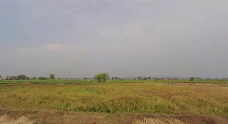 JW3C+5V6, Teekri, Rajasthan 321605, India preview 2