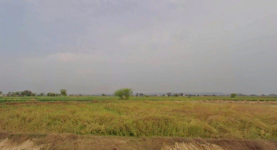 JW3C+5V6, Teekri, Rajasthan 321605, India