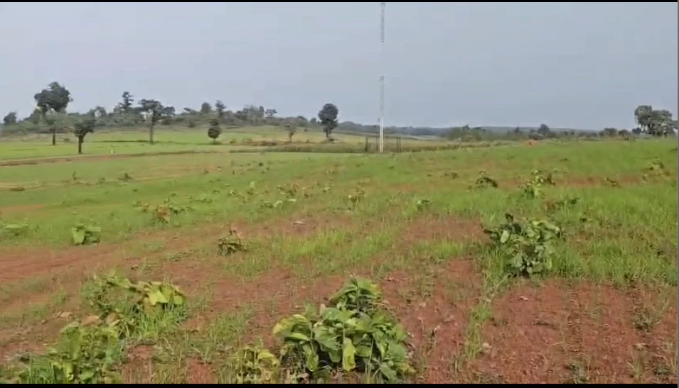 Khadaura, Sidhi, TEH-MAJHAULI, 4MJV+5Q7, Khadura, Madhya Pradesh 486666, India