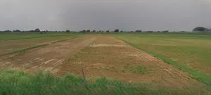Sonipat, Haryana, India preview 2