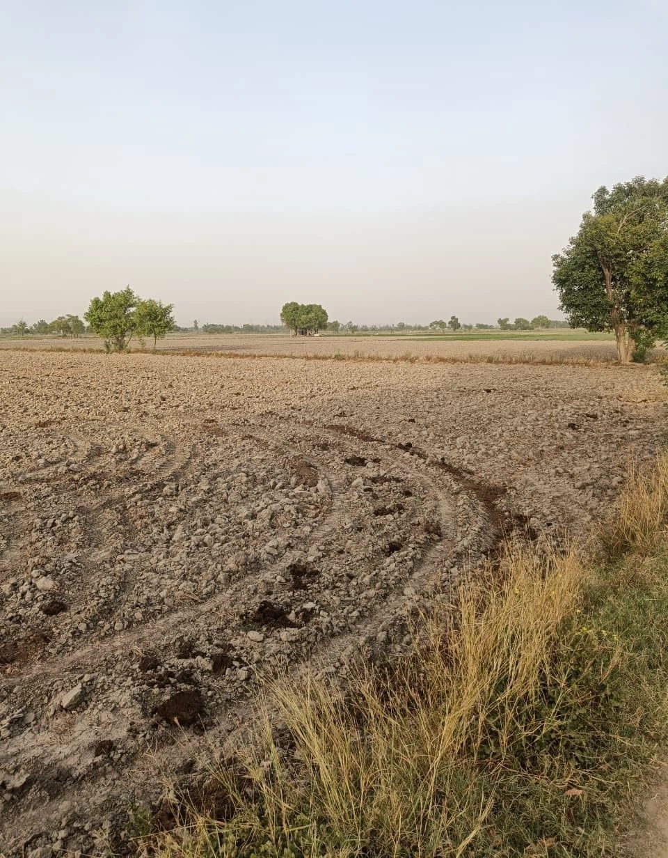 Bhoopsera, Rajasthan 301402, India