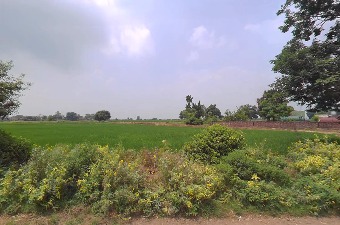 Tibbi Majra, Haryana 134204, India