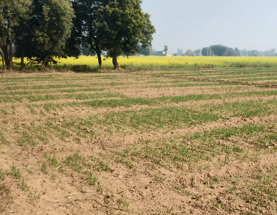 Patran, Patiala, Punjab 147105, India
