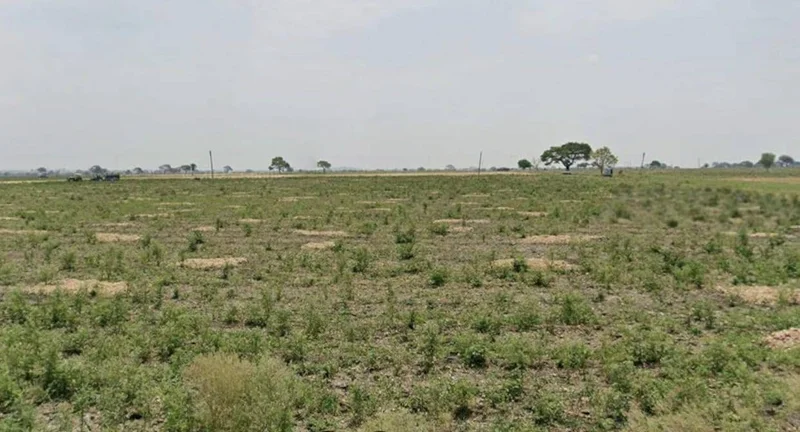 4QF4+W9V, Palkhedi, Madhya Pradesh 456006, India preview 2