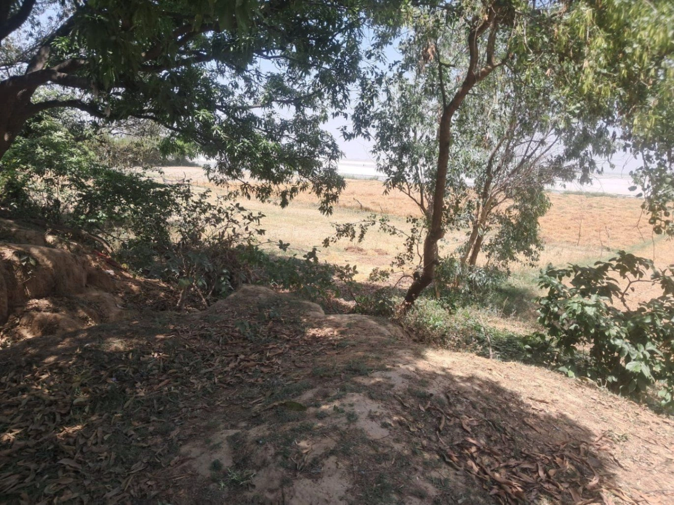 Ravanpur, Uttar Pradesh 276208, India
