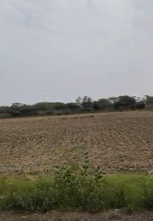 Mohanlalganj, Lucknow, Uttar Pradesh 226301, India