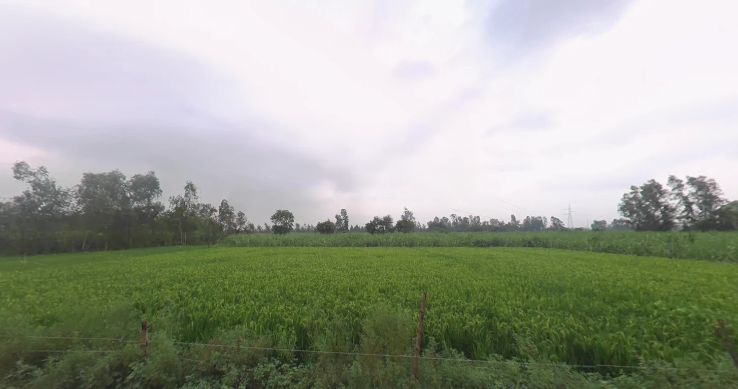 Chhutmalpur, Uttar Pradesh 247662, India