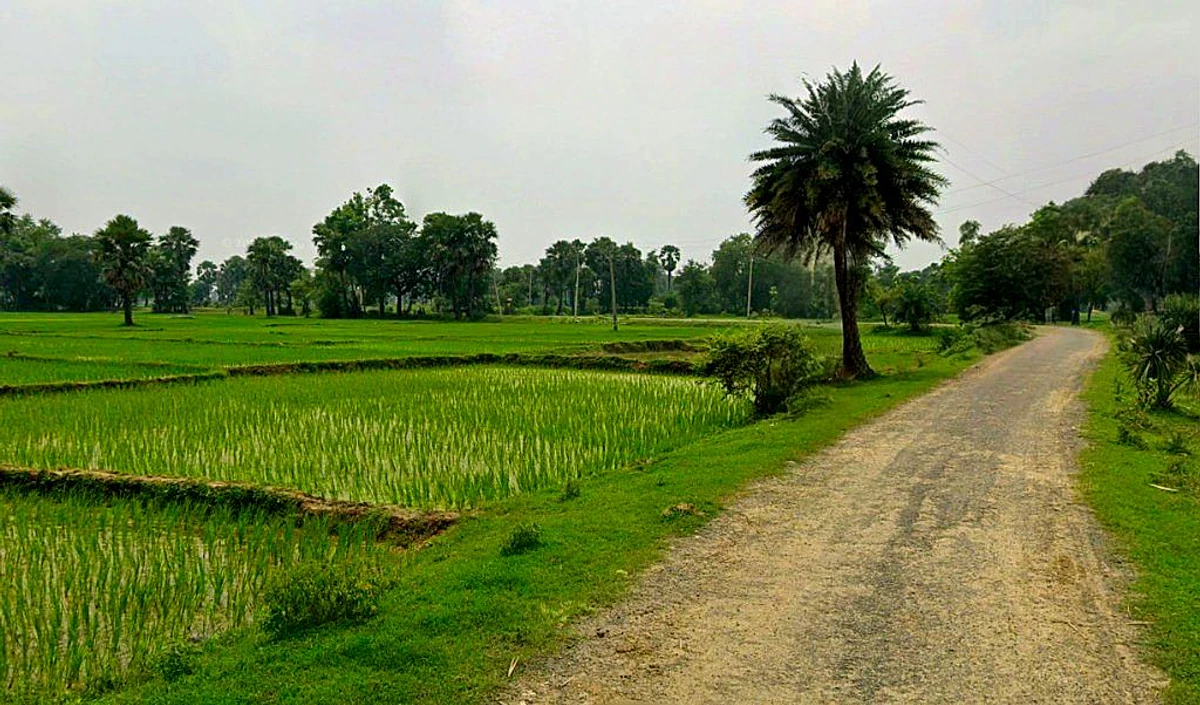 Bilaspur - Marwahi Bypass Rd, Balbahara, Chhattisgarh 495118, India