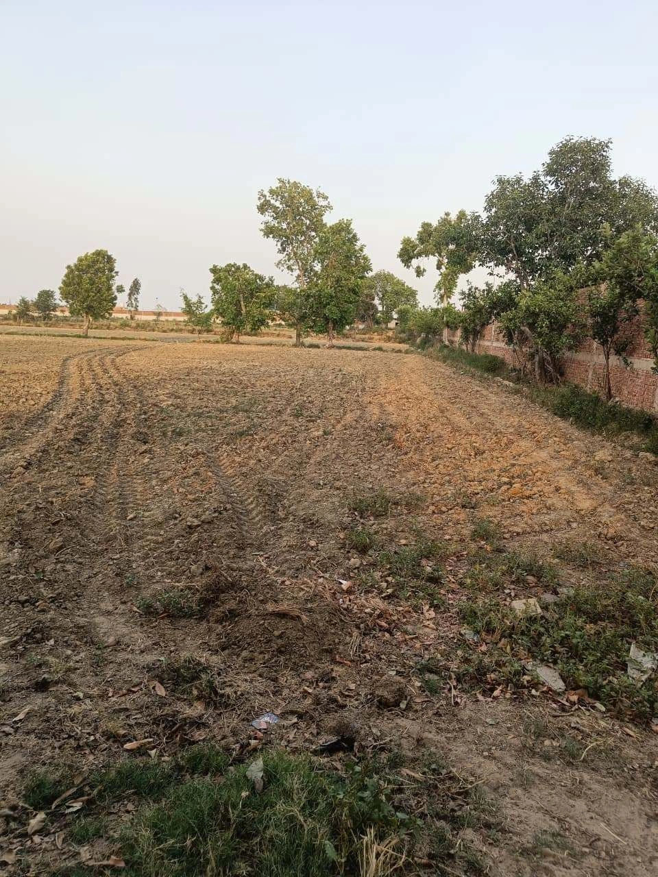 Chandauri, Uttar Pradesh, India