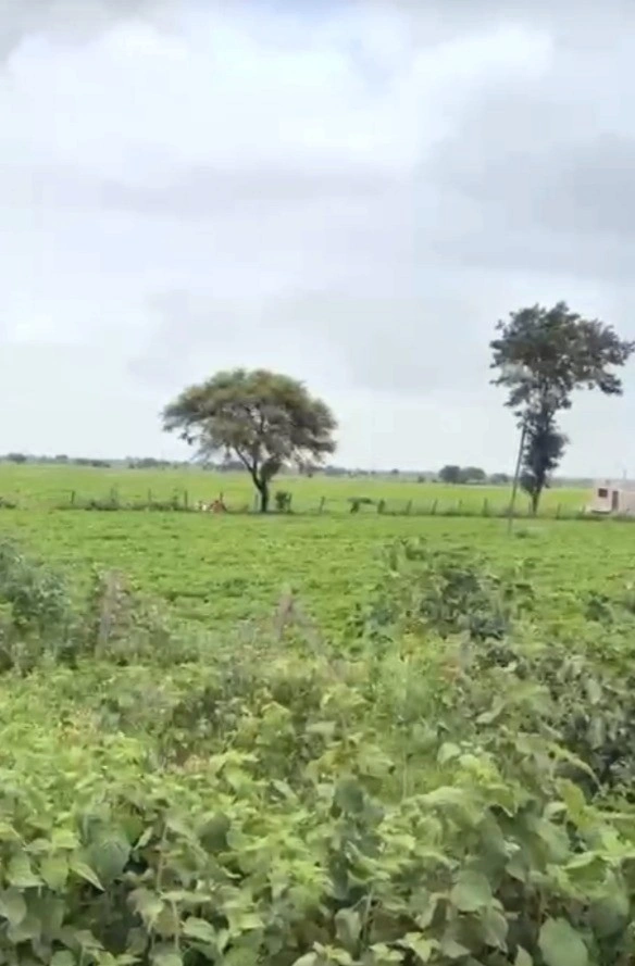 Lebad, Madhya Pradesh 454773, India