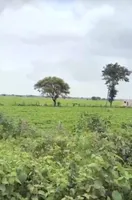 Lebad, Madhya Pradesh 454773, India preview 2