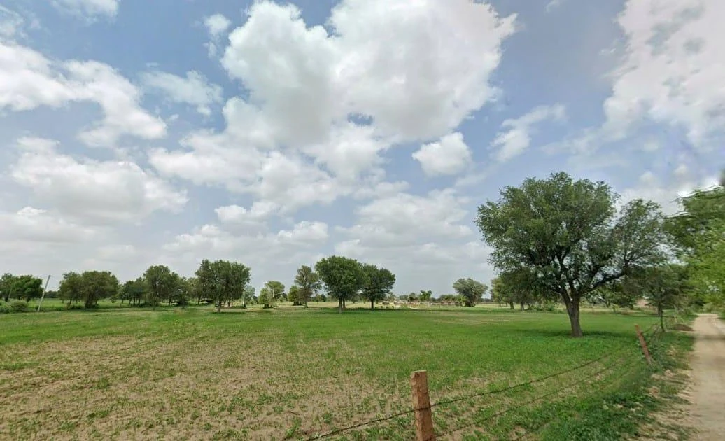 Sherpura, Rajasthan 334604, India