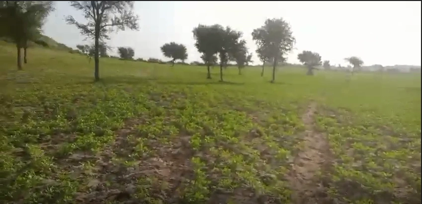 6P45+48 Parkal, Hanumakonda, Telangana, India