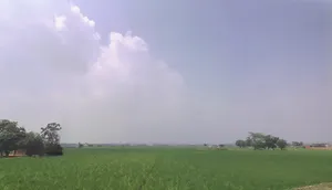 Daddu Majra Colony, Chandigarh, 160014, India preview 2