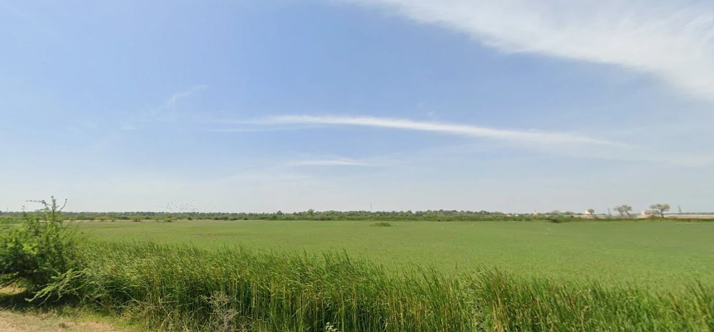 Bazidpur Saboli, Haryana 131029, India
