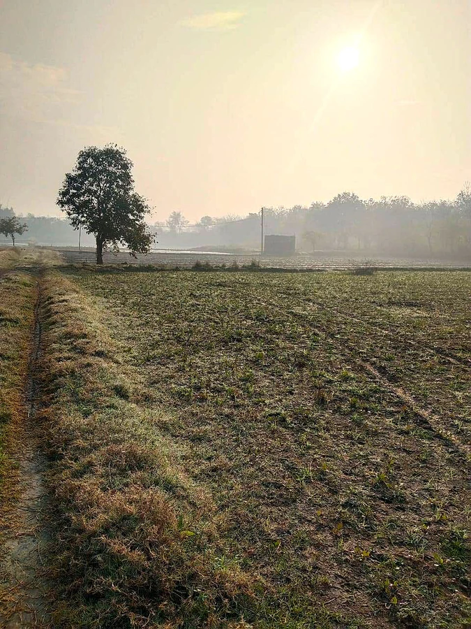 Issapur, Delhi, 110073, India