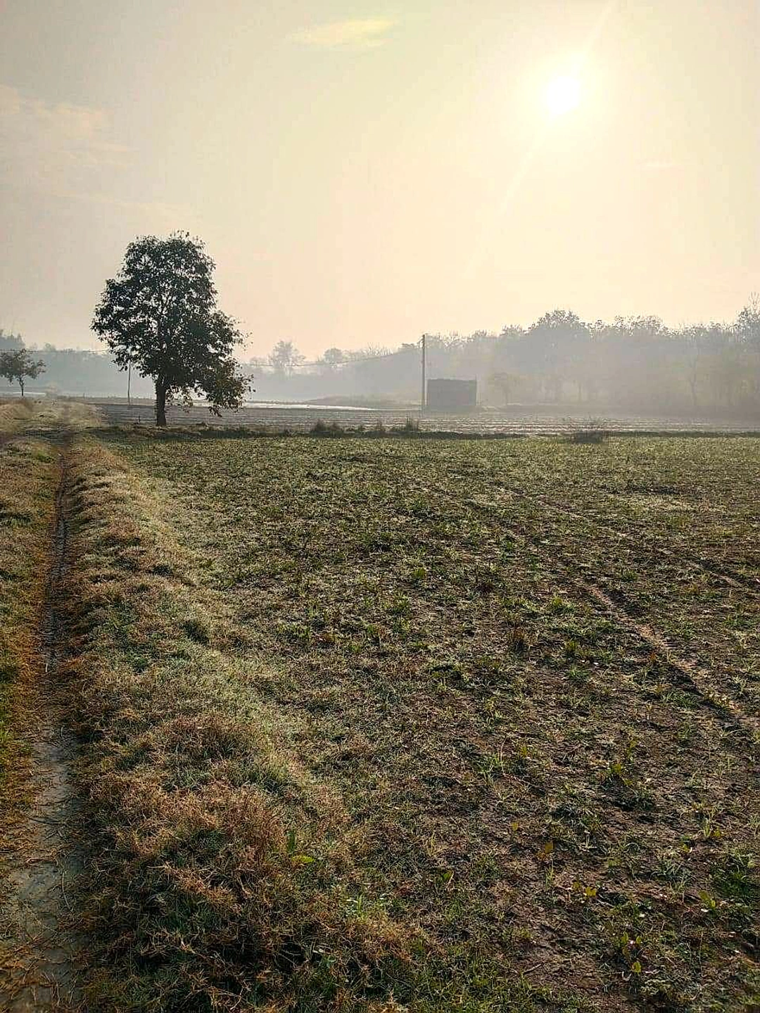 Issapur, Delhi, 110073, India