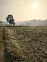 Issapur, Delhi, 110073, India preview 2