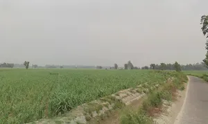 Hastinapur, Uttar Pradesh 250404, India preview 3