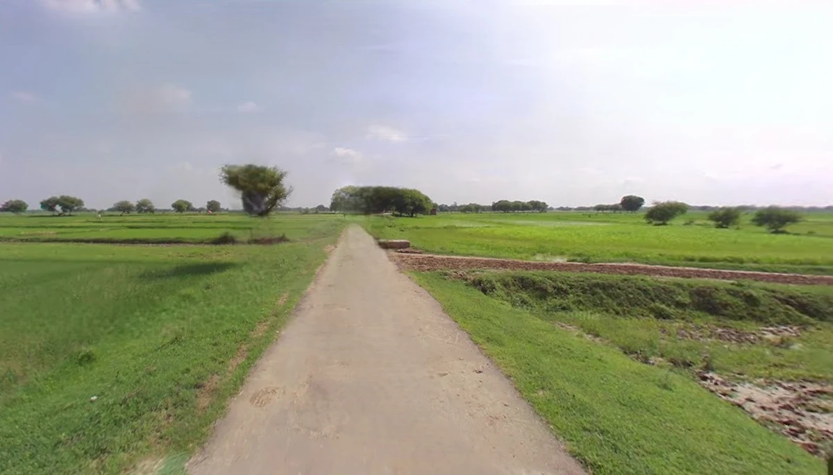 Jhajjar, Haryana 124103, India