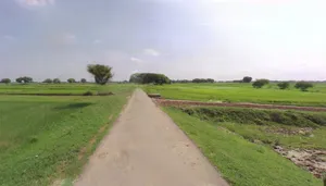 Jhajjar, Haryana 124103, India preview 3