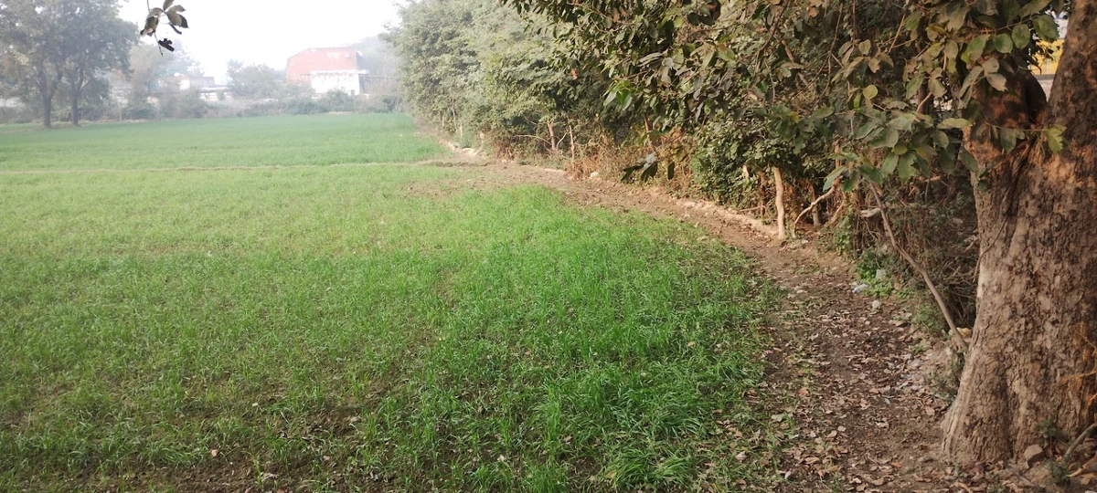 Govardhan, Uttar Pradesh, India