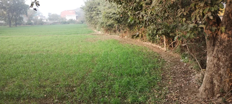 Govardhan, Uttar Pradesh, India preview 3