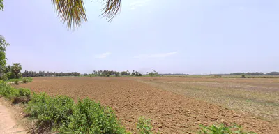 Kantilo, Odisha 752078, India preview 2